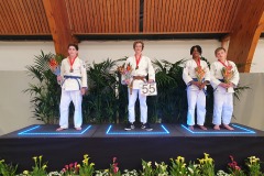 U15H -55kg